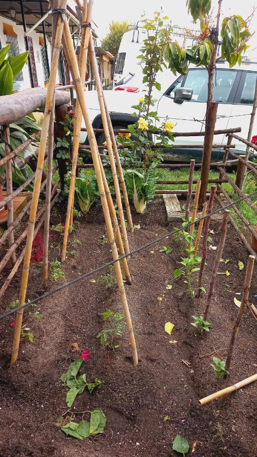 Affittacamere Jardines Del Acebron El Rocío Esterno foto