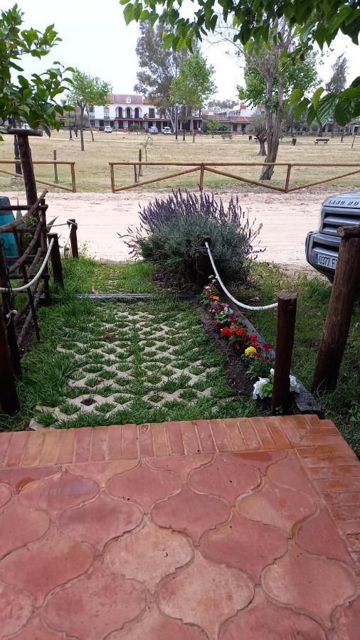 Affittacamere Jardines Del Acebron El Rocío Esterno foto
